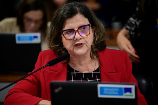 CE aprova projeto que incrementa combate à pedofilia