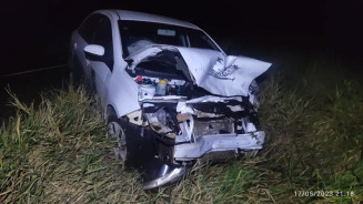 Motorista morre e outras duas pessoas ficam feridas após veículos colidirem com anta 