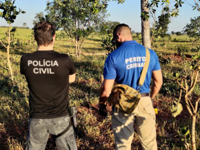 Polícia Civil soluciona crime de furto de gado 