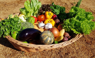 Embrapa avança na pesquisa de biofortificação de hortaliças