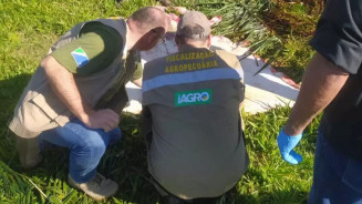 Fazendeiro preso por abate clandestino matava animais a pedradas