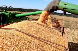 Safra de soja atinge marca histórica de 15 milhões de toneladas