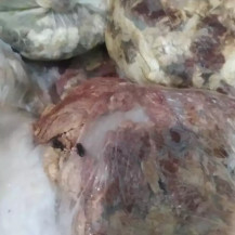 Dono de açougue é preso após polícia encontrar moscas e baratas em carnes