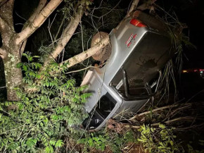 Caminhonete atropela anta, capota e vai parar fora da rodovia