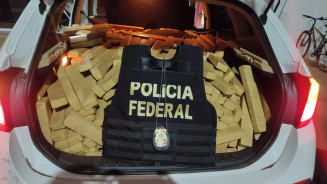Policia apreende BMW lotada com 800 kg em tabletes de maconha