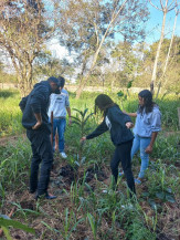 Com palestras e plantio de mudas, Imam inicia ações da Semana do Meio Ambiente