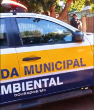 Homem é encontrado morto a golpes de faca em residência na Cohab II