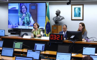 Bolsa Família deve ser uma etapa para a concessão de renda básica universal