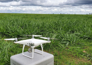 Drones garantem 66% de precisão no monitoramento de pastagens