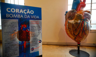 Projeto financiado pelo Ministério da Saúde ajuda a diminuir mortalidade por causas cardiovasculares em 58%
