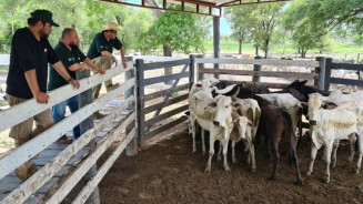 Concurso da Iagro terá mais 9 vagas para fiscal em Mato Grosso do Sul