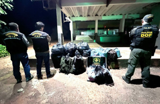 Polícia apreende 400 kg de cabelos avaliados em R$ 1 milhão