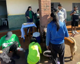 Colombianos abandonados após jogo de futebol e abrigados em MS deixa o Estado