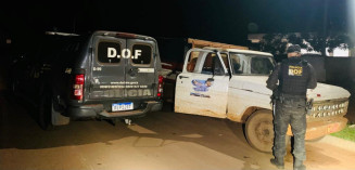 Veículo com placa e chassi adulterado é apreendido pelo DOF
