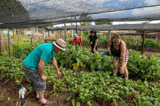 CRA analisa cultivo de hortas comunitárias em terrenos da União