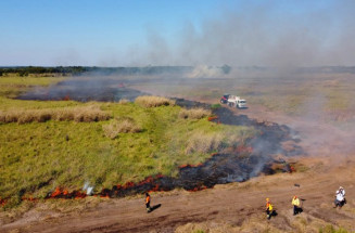 Ação integrada e treinamento contribuem para prevenção de incêndios florestais em MS