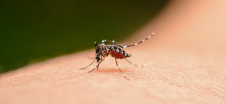 “Nosso compromisso maior é incorporar a melhor tecnologia existente para a população contra a dengue”