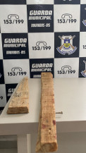 Vizinhas ficam feridas ao brigarem com pedaços de pau na rua