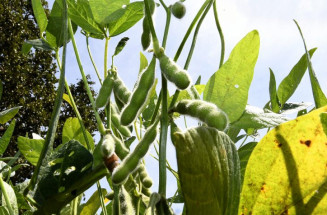 Saldo da balança comercial de Mato Grosso do Sul no 1º semestre de 2023 cresce 51,62% e chega a US$ 3,7 bilhões
