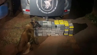Cão farejador da polícia encontra 114 quilos de cocaína em estepes de carreta