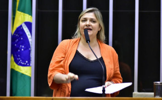 Projeto insere professores de educação infantil na carreira do magistério público