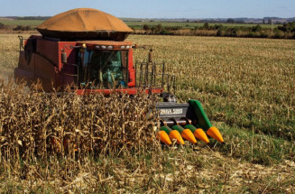Com forte reação do agro, MS gerou 3 mil empregos em junho e tem estoque de trabalho recorde