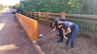 Polícia investiga crânio humano deixado em ponte de córrego