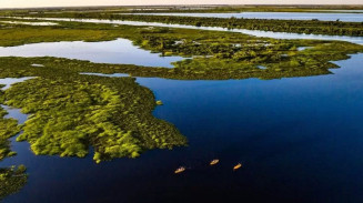 Pantanal tem 85% da área preservada e redução do desmatamento