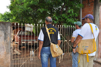 MS registra 8 mortes e 338 novos casos de dengue na última semana