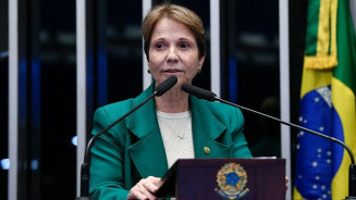 Senadora critica interferência do governo Lula no Pantanal