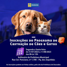 Encerra hoje inscrições para castração de cães e gatos em Dourados
