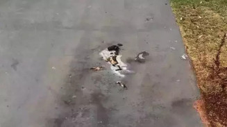 Polícia prende suspeito de jogar explosivo em prédio da PM
