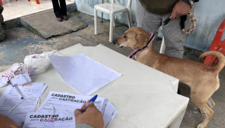 Divulgada lista de contemplados  para castração de cães e gatos em Dourados