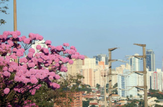 Com chuva no início da semana, MS pode registrar 40°C nos próximos dias