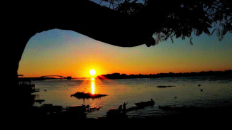 MPF abre inquérito para apurar medidas de proteção ao Pantanal