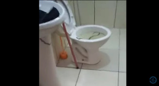 Moradora de MS encontra cobra venenosa em vaso sanitário