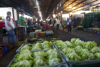 Alface, batata e cebola são destaques na queda de preços 