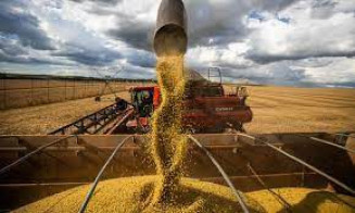 Brasil se torna o maior fornecedor mundial de farelo de soja