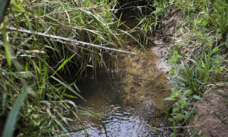 Lei inclui recuperação de nascentes na legislação ambiental