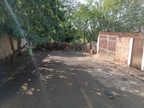 Casos de Febre Maculosa reascendem polêmica sobre capivaras em parque