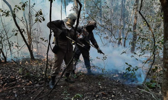 Incêndios queimaram 30% de área do Pantanal em 2020