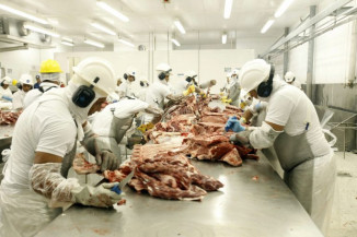 Destino de resíduos da produção de proteína animal é tema de debate nesta Câmara nesta segunda