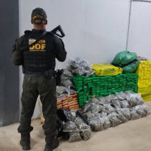 Quase meia tonelada de maconha é apreendida pelo DOF