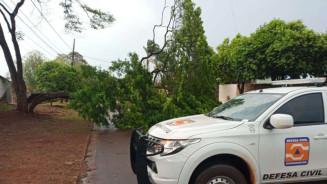Forte vento derruba árvores em Dourados e alerta tempestade segue até hoje