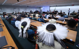 Especialistas defendem legislação trabalhista para populações tradicionais na sociobioeconomia