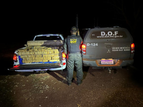 DOF apreende quase 1,5 tonelada de droga e recupera camionete roubada em Dourados