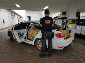 Polícia apreende R$ 7,8 milhões em maconha durante patrulhamento