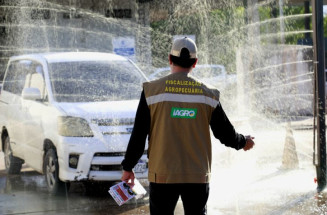 Confirmação de foco de gripe aviária leva governo ampliar barreira sanitária