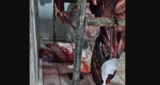 Fiscalização apreende uma tonelada de carne podre em mercado de Campo Grande