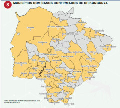 Dourados é a quarta cidade com mais casos de chikungunya; Ponta Porã lidera